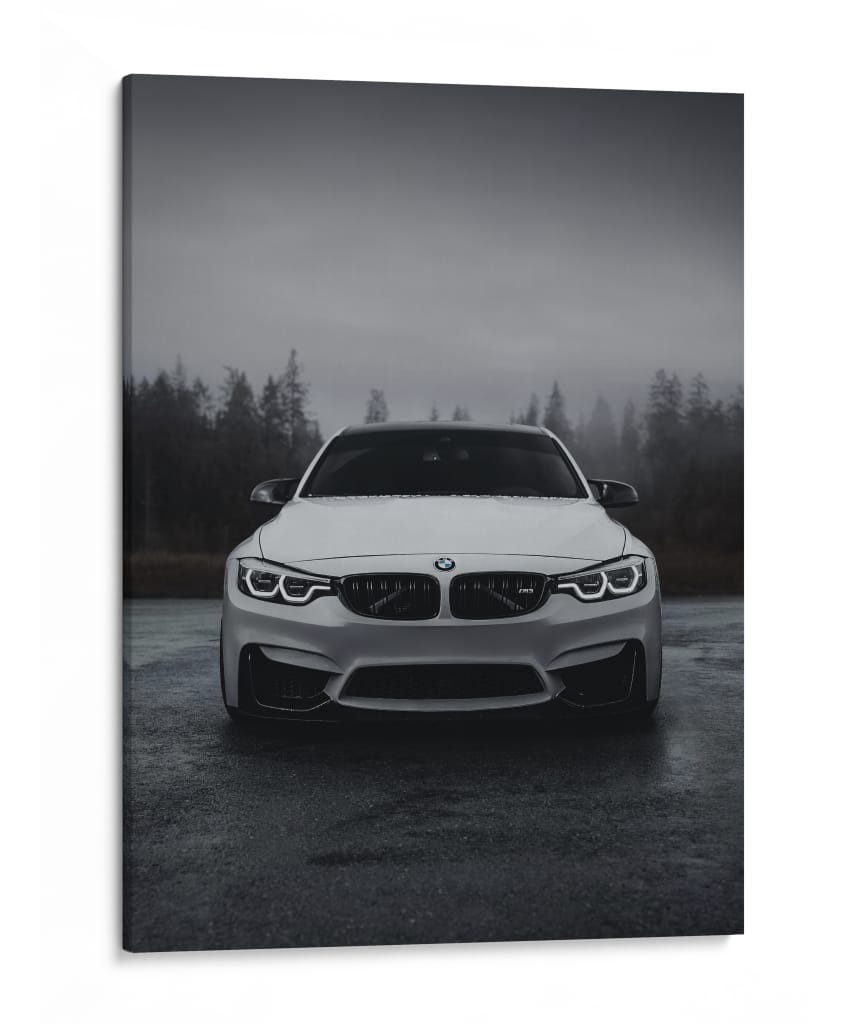 La Bestia de la Niebla: BMW M4 - Sae Art | Cuadro decorativo de Canvas Lab