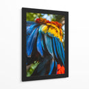 Alas tricolor - Ulises Páez | Cuadro decorativo de Canvas Lab