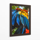 Alas tricolor - Ulises Páez | Cuadro decorativo de Canvas Lab