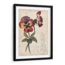 Estudios De Jardín Ii - Grace Popp | Cuadro decorativo de Canvas Lab