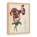 Estudios De Jardín Ii - Grace Popp | Cuadro decorativo de Canvas Lab