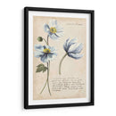 Estudios De Jardín Iii - Grace Popp | Cuadro decorativo de Canvas Lab