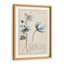 Estudios De Jardín Iii - Grace Popp | Cuadro decorativo de Canvas Lab