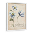 Estudios De Jardín Iii - Grace Popp | Cuadro decorativo de Canvas Lab