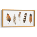 Plumas De Roca Roja I - Grace Popp | Cuadro decorativo de Canvas Lab