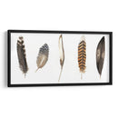 Plumas De Roca Roja Ii - Grace Popp | Cuadro decorativo de Canvas Lab