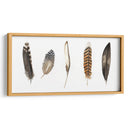 Plumas De Roca Roja Ii - Grace Popp | Cuadro decorativo de Canvas Lab