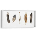 Plumas De Roca Roja Ii - Grace Popp | Cuadro decorativo de Canvas Lab