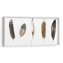 Plumas De Roca Roja Ii - Grace Popp | Cuadro decorativo de Canvas Lab