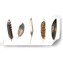 Plumas De Roca Roja Ii - Grace Popp | Cuadro decorativo de Canvas Lab