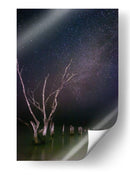 Raíz de la noche - Ulises Páez | Cuadro decorativo de Canvas Lab