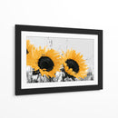 Dos grandes girasoles - DIEGO D L | Cuadro decorativo de Canvas Lab