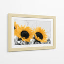 Dos grandes girasoles - DIEGO D L | Cuadro decorativo de Canvas Lab