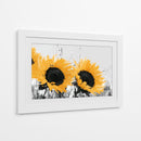 Dos grandes girasoles - DIEGO D L | Cuadro decorativo de Canvas Lab