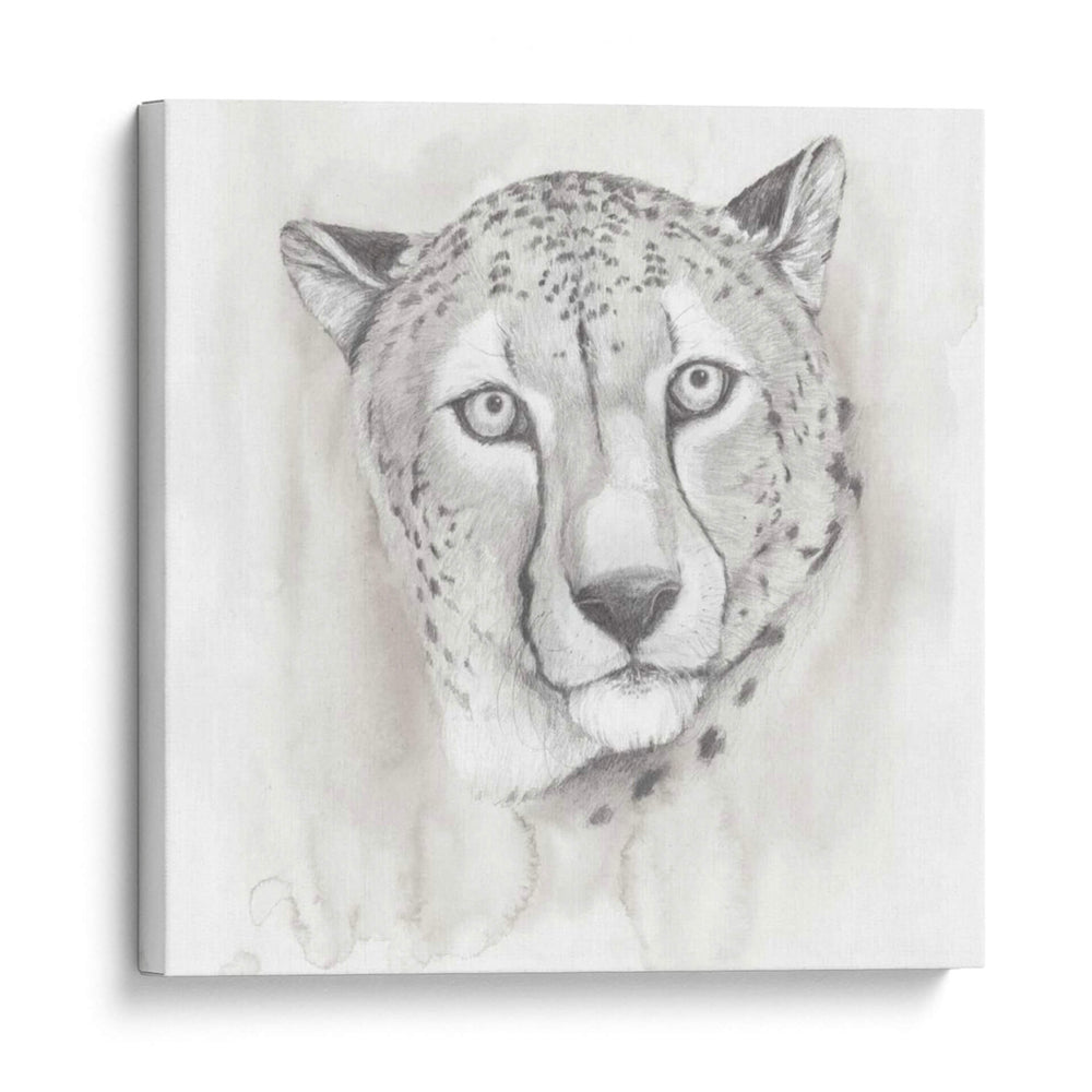 Gran Estudio Gato I - Grace Popp | Cuadro decorativo de Canvas Lab