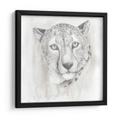 Gran Estudio Gato I - Grace Popp | Cuadro decorativo de Canvas Lab