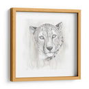 Gran Estudio Gato I - Grace Popp | Cuadro decorativo de Canvas Lab