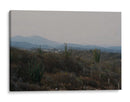 Cactus y montañas - Huatulco - Raúl Ruz | Cuadro decorativo de Canvas Lab