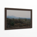 Cactus y montañas - Huatulco - Raúl Ruz | Cuadro decorativo de Canvas Lab