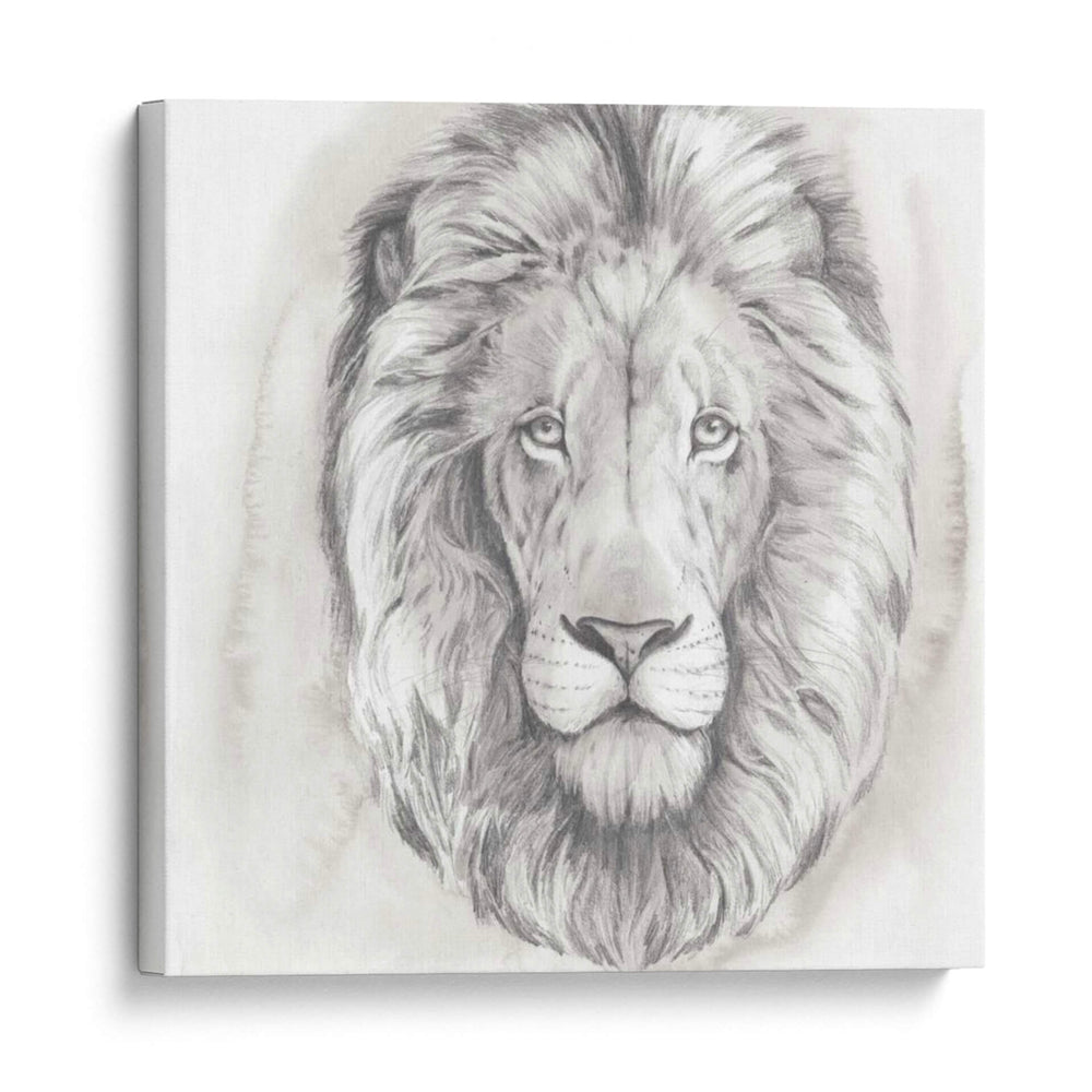 Big Cat Study Iii - Grace Popp | Cuadro decorativo de Canvas Lab