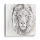 Big Cat Study Iii - Grace Popp | Cuadro decorativo de Canvas Lab