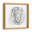 Big Cat Study Iii - Grace Popp | Cuadro decorativo de Canvas Lab