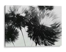 Diente de león a contra luz - DIEGO D L | Cuadro decorativo de Canvas Lab