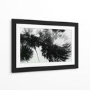 Diente de león a contra luz - DIEGO D L | Cuadro decorativo de Canvas Lab