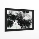 Diente de león a contra luz - DIEGO D L | Cuadro decorativo de Canvas Lab