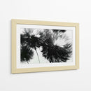 Diente de león a contra luz - DIEGO D L | Cuadro decorativo de Canvas Lab