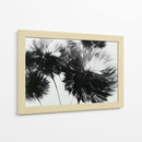Diente de león a contra luz - DIEGO D L | Cuadro decorativo de Canvas Lab