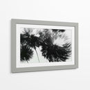 Diente de león a contra luz - DIEGO D L | Cuadro decorativo de Canvas Lab