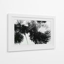 Diente de león a contra luz - DIEGO D L | Cuadro decorativo de Canvas Lab