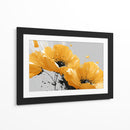 Girasoles en fondo blanco - DIEGO D L | Cuadro decorativo de Canvas Lab