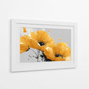 Girasoles en fondo blanco - DIEGO D L | Cuadro decorativo de Canvas Lab
