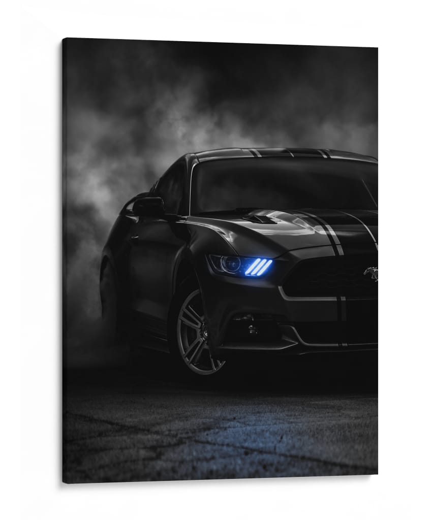 Furia en la Sombra - Sae Art | Cuadro decorativo de Canvas Lab