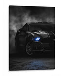 Furia en la Sombra - Sae Art | Cuadro decorativo de Canvas Lab