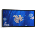 Acuario de Genoa | Cuadro decorativo de Canvas Lab