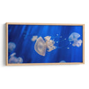 Acuario de Genoa | Cuadro decorativo de Canvas Lab