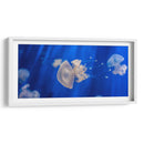 Acuario de Genoa | Cuadro decorativo de Canvas Lab