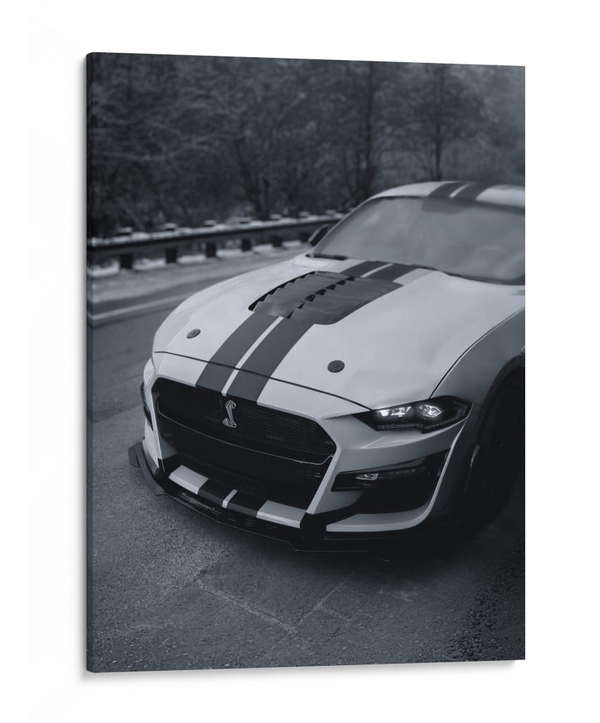Veneno Helado: Ford Mustang Shelby GT500 - Sae Art | Cuadro decorativo de Canvas Lab