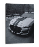 Veneno Helado: Ford Mustang Shelby GT500 - Sae Art | Cuadro decorativo de Canvas Lab