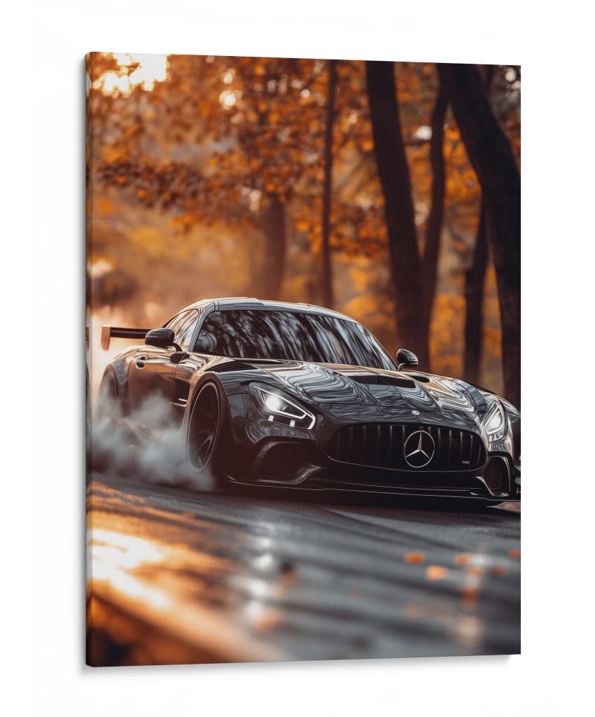 Furia Otoñal — Mercedes-AMG GT R - Sae Art | Cuadro decorativo de Canvas Lab