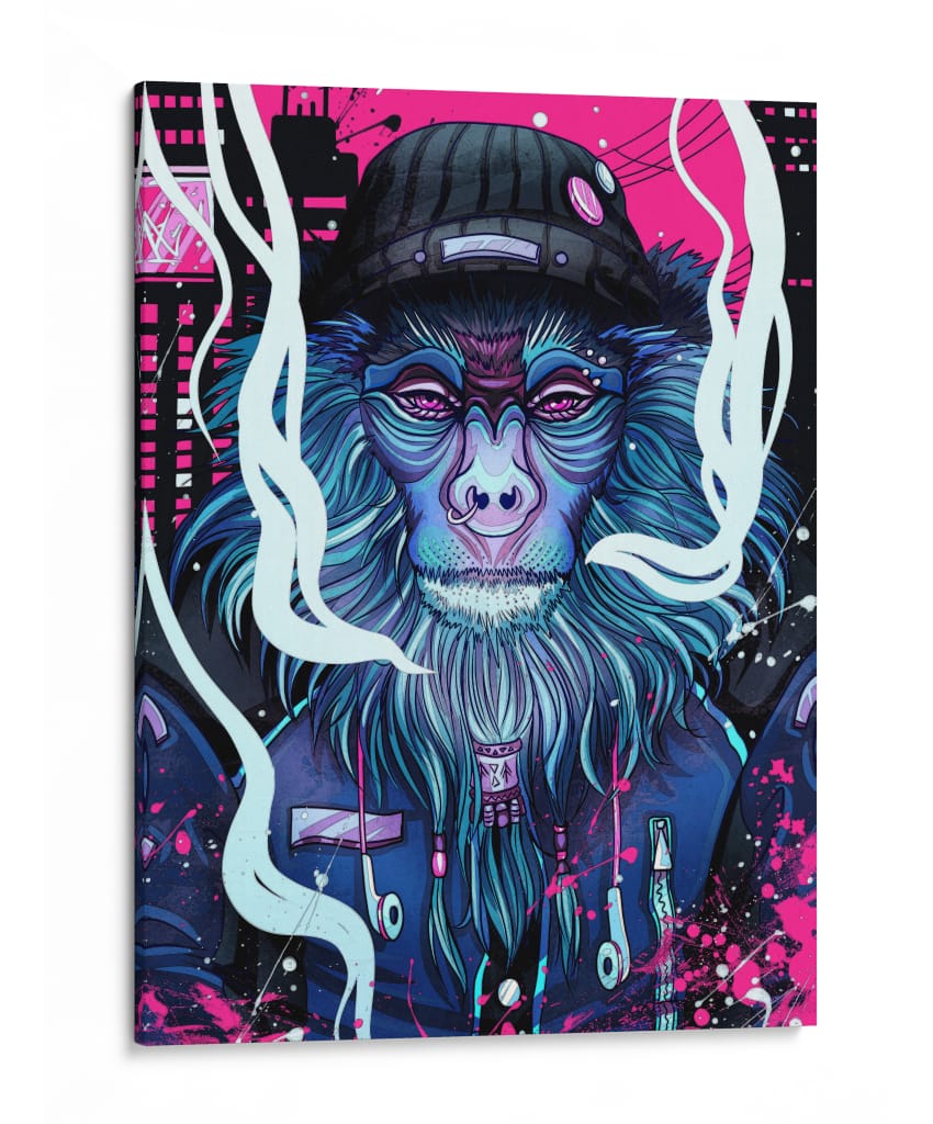 Mono Callejero - Sae Art | Cuadro decorativo de Canvas Lab