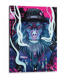 Mono Callejero - Sae Art | Cuadro decorativo de Canvas Lab