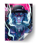 Mono Callejero - Sae Art | Cuadro decorativo de Canvas Lab