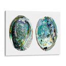 Conchas De Abulón I - Naomi McCavitt | Cuadro decorativo de Canvas Lab
