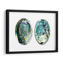 Conchas De Abulón I - Naomi McCavitt | Cuadro decorativo de Canvas Lab