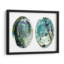 Conchas De Abulón I - Naomi McCavitt | Cuadro decorativo de Canvas Lab
