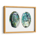 Conchas De Abulón I - Naomi McCavitt | Cuadro decorativo de Canvas Lab